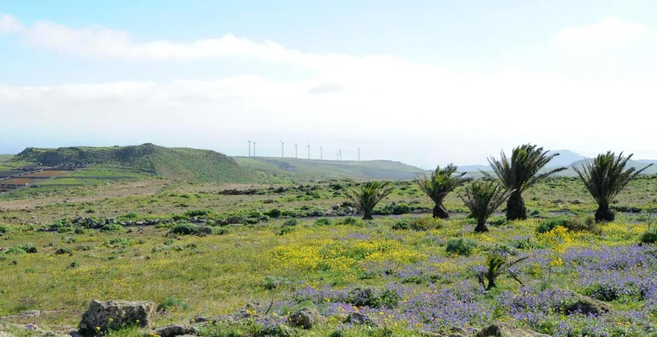 Las Nieves Suites Teguise  Kültér fotó
